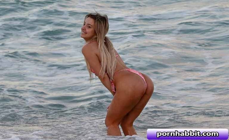 pornhabbit
